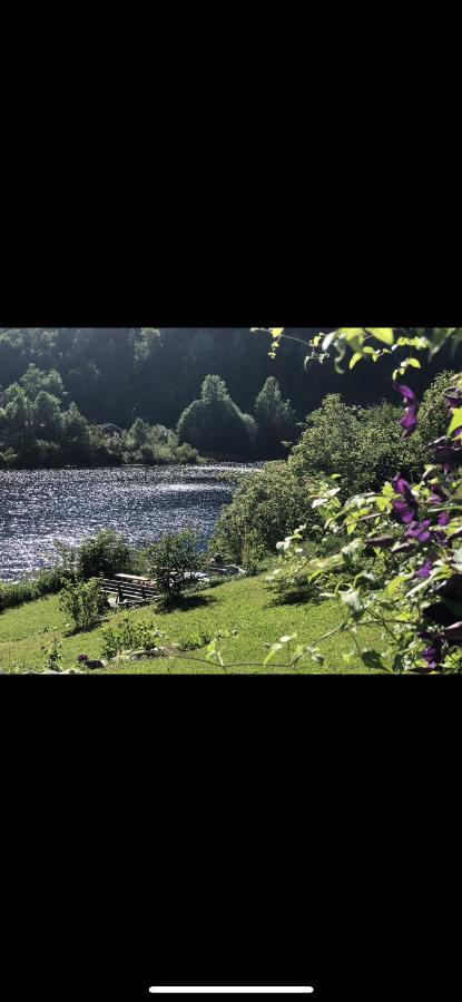 Glamping On Idyllic Lake, Paddle Boards & Rowboat Porsgrunn Exterior foto